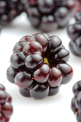 Wall Mural - Isolated close up of a bunch of fresh blackberries