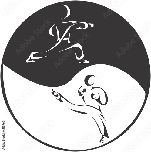 Cuadros en Lienzo Martial Arts Puncher and Kicker
