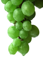 Bunch of green grapes.