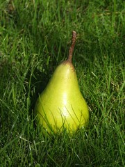 Pear