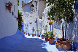 Fototapeta Desenie - ruelle bleue à chefchaouen au maroc