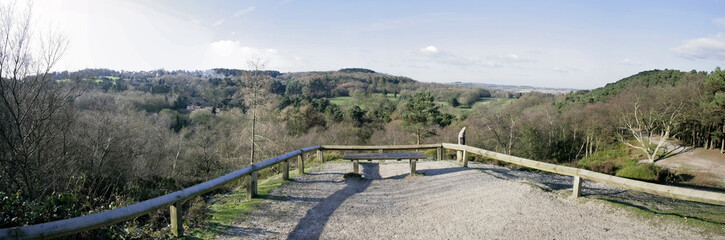 Wall Mural -  lickey hills