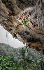 Wall Mural - climbing