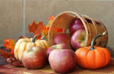 Wall Mural - Fall Harvest