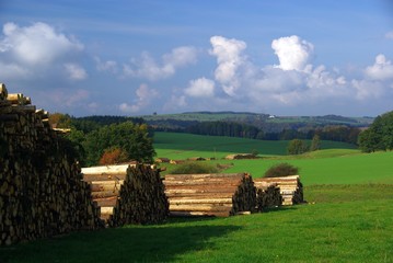 Poster - Holzstapel 17