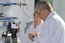 Two Science Technicians Survey The Results Of Their Experiments