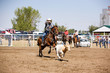 © Tyler Olson - Calf Roping