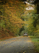 Car drives down autumn road 