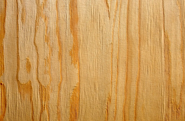 Wall Mural - Wood texture close up background.