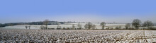 Warwickshire Farmland Covered In Snow Winter