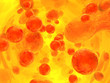 red blood cells, 3d render