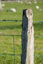 Fence Post In Field
