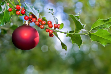 christmas ball and holly