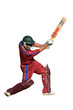 Cricket player