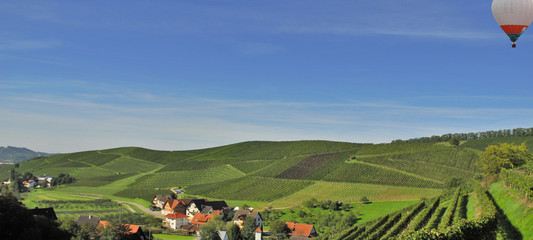 Wall Mural - Weinberg