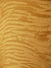 Wall Mural - sand background