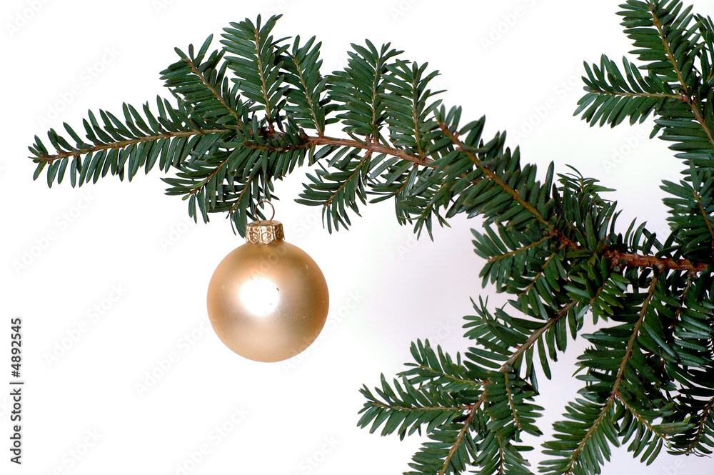 Weihnachten Zweig mit Kugel Stock-bilde