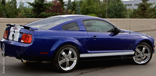 Obraz na plátne  Mustang