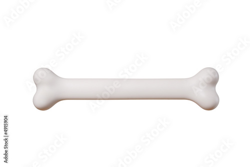 Cuadros en Lienzo A bone isolated against white background