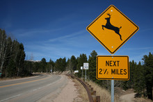 Deer Warning Sign In Country Road