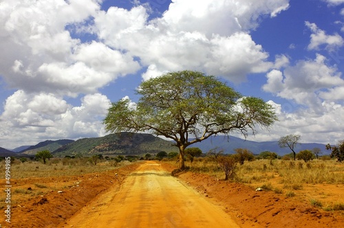 Photographie Tsavo Est Kenya