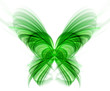 Abstract green butterfly