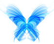 Abstract blue butterfly