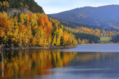 Foto-Tischdecke - Herbstwald mit See (von Johanna Mühlbauer)