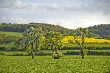 Wall Mural - Winchcombe The Cotswolds Gloucestershire The Midlands England