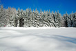 canvas print picture - verscheinet Winter Landschaft Schnee