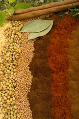 Poster - Spices and Herbs