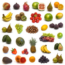 Large Page Of Fruits On White Background
