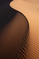 Wall Mural - Sahara Desert