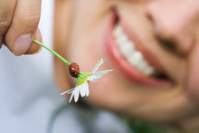 Close-up Smiling Woman Holding Flower Camomile With Ladybug