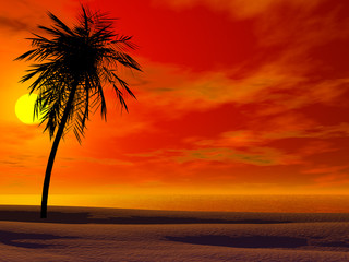 Wall Mural - Tropical sunset