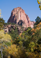 Wall Mural - Rock Formation in Fall Colors in Zion National Park