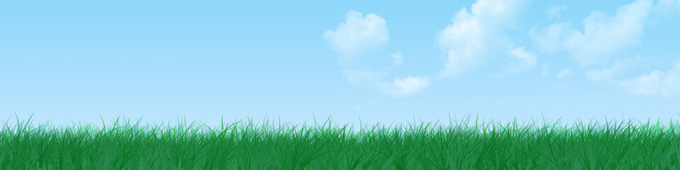 Grass banner