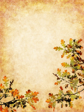 Fototapete - Textured Autumn Leaves