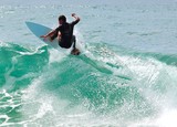 surf