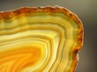© Anette Linnea Rasmus - yellow agate slices