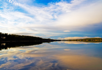 Wall Mural - reflections