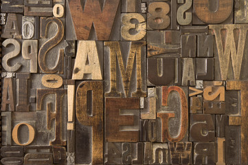 Wall Mural - Woodtype 7