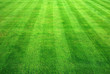 Bowling green grass background.
