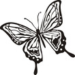 mariposa01