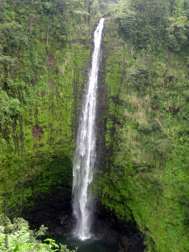 Foto-Leinwand ohne Rahmen - Akaka Falls,Hawaii (von Gainford Girl)