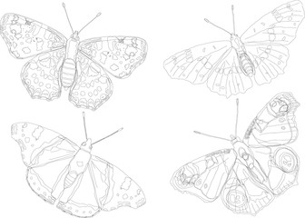 Poster - butterfly silhouette collection