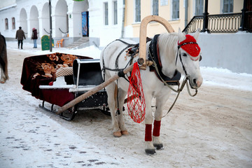 Trip in the sleighs along the streets of city Suzdal