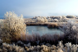 Fototapeta Krajobraz - Winter landscape in rural Idaho