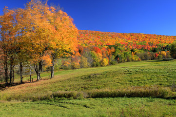 Autumn Pennsylvania