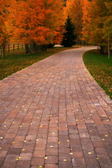 Autumn Path 2